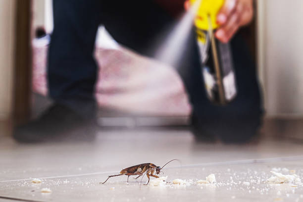 Best Pest Control for Businesses  in USA